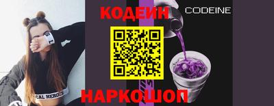 СК Гатчина