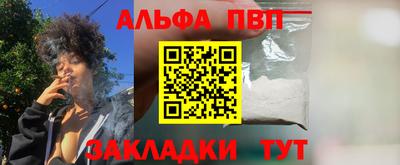 СК Гатчина