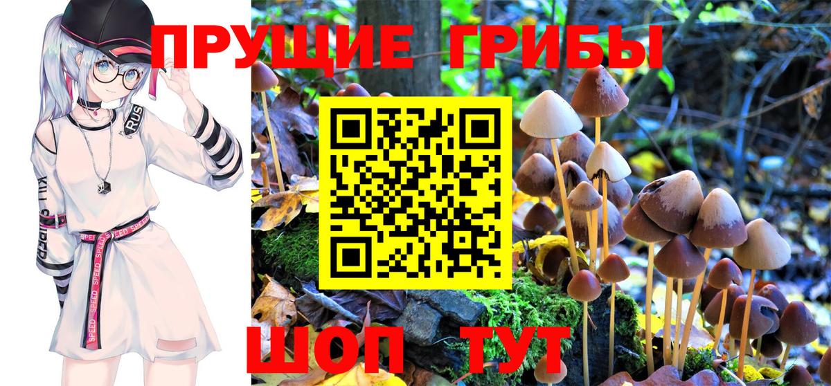 Псилоцибиновые грибы ЛСД Губкинский