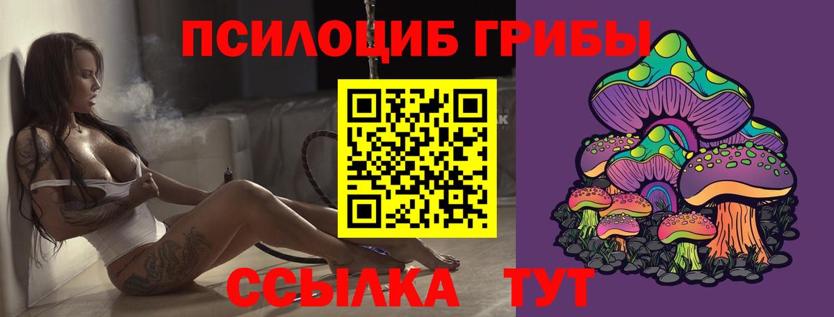 Галлюциногенные грибы Psilocybe  Вход с VPN  Губкинский 